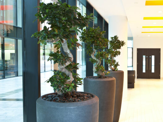 Exchange Place 1, Edinburgh