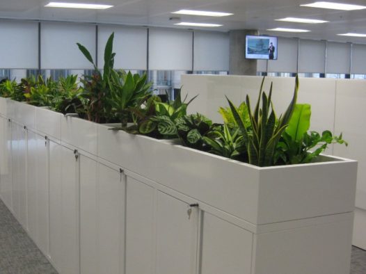View of Plants at ACCA