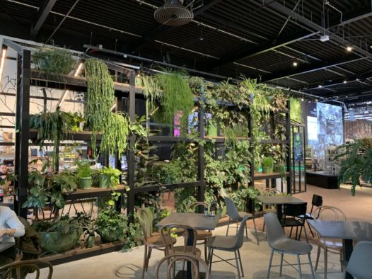 Best plants for vertical