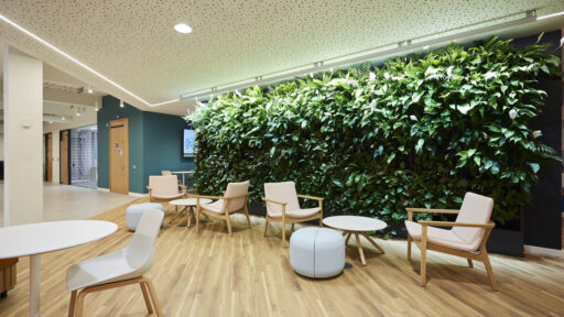 Green Walls and Roofs