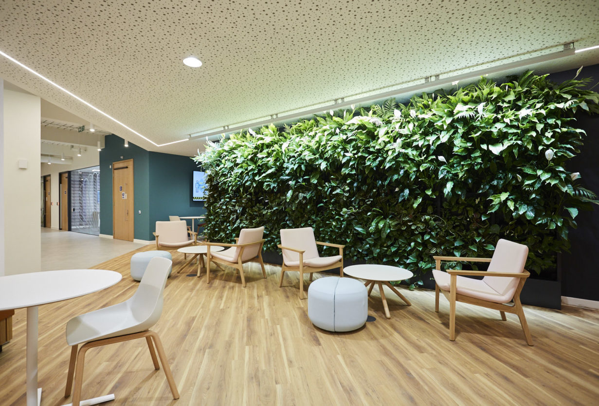 Green Walls and Roofs