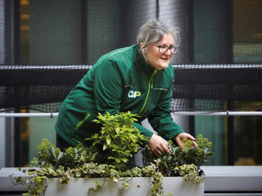 Plant power equals happiness