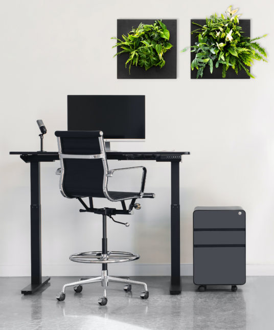 office-plant