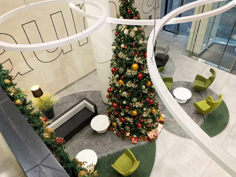 Is your office Christmas tree sustainable? GP Plantscape Office