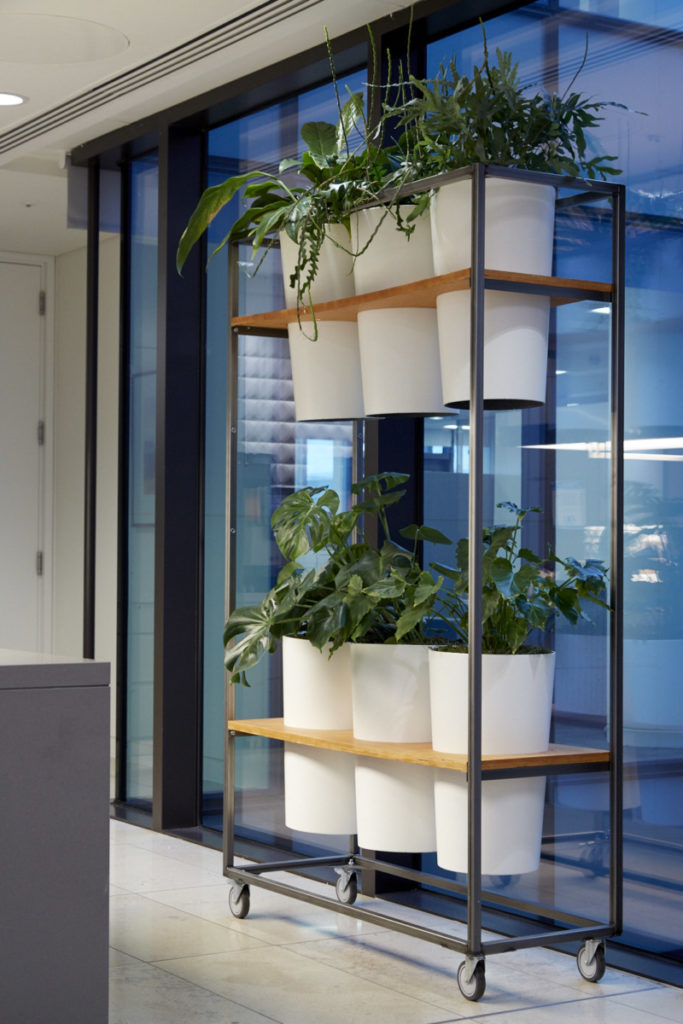 Indoor plants in movable conatiner