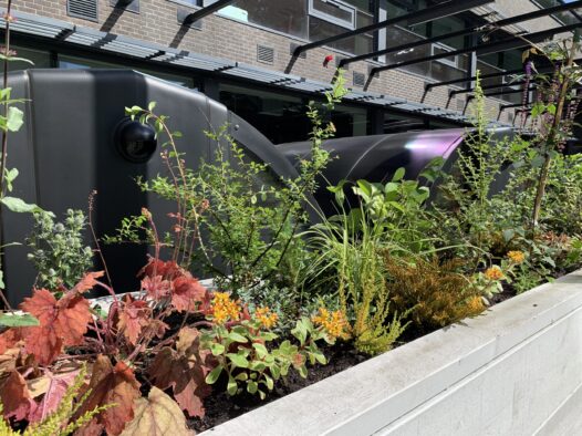 Call a halt to biodiversity decline