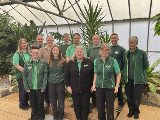 Celebrating Interior Landscaper Day