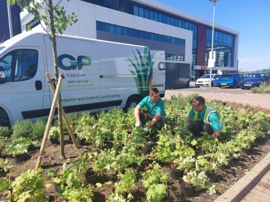 Bedding in sustainability