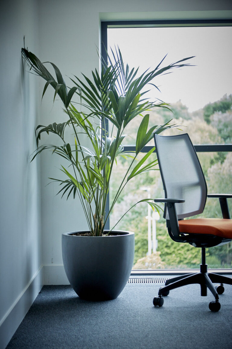 How to measure light levels for plants GP Plantscape