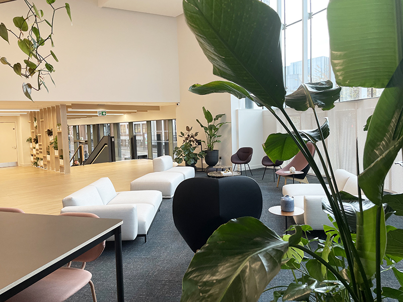 Interior plants boost wellbeing at work