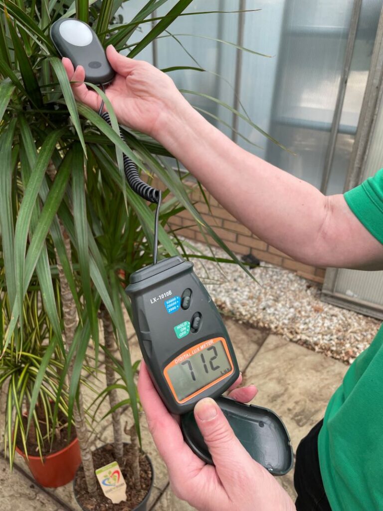 How to measure light levels for plants GP Plantscape