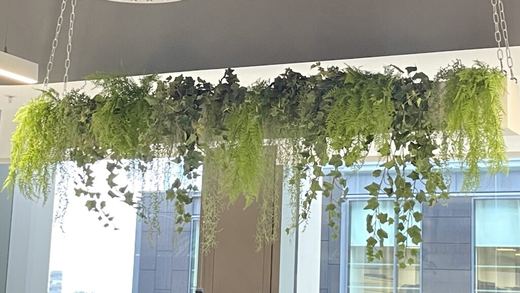 Green plants for wellbeing