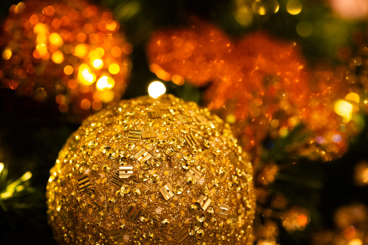 Live Interior Christmas Tree With Parcels - Fireplace Magic - Image 4