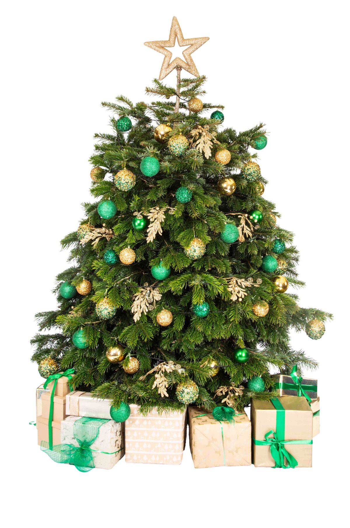 Live Interior Christmas Tree With Parcels - Enchanted Emerald