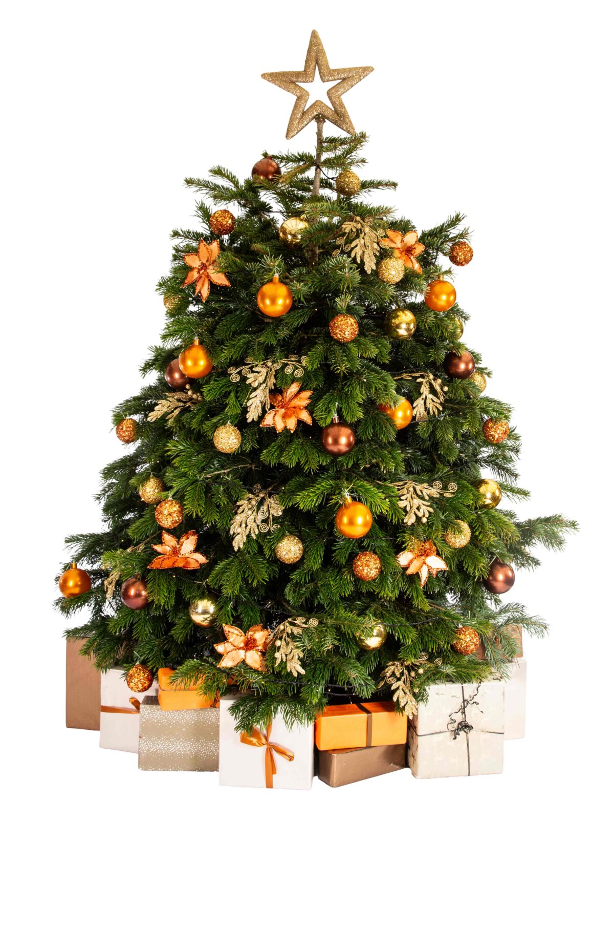 Live Interior Christmas Tree With Parcels - Fireplace Magic