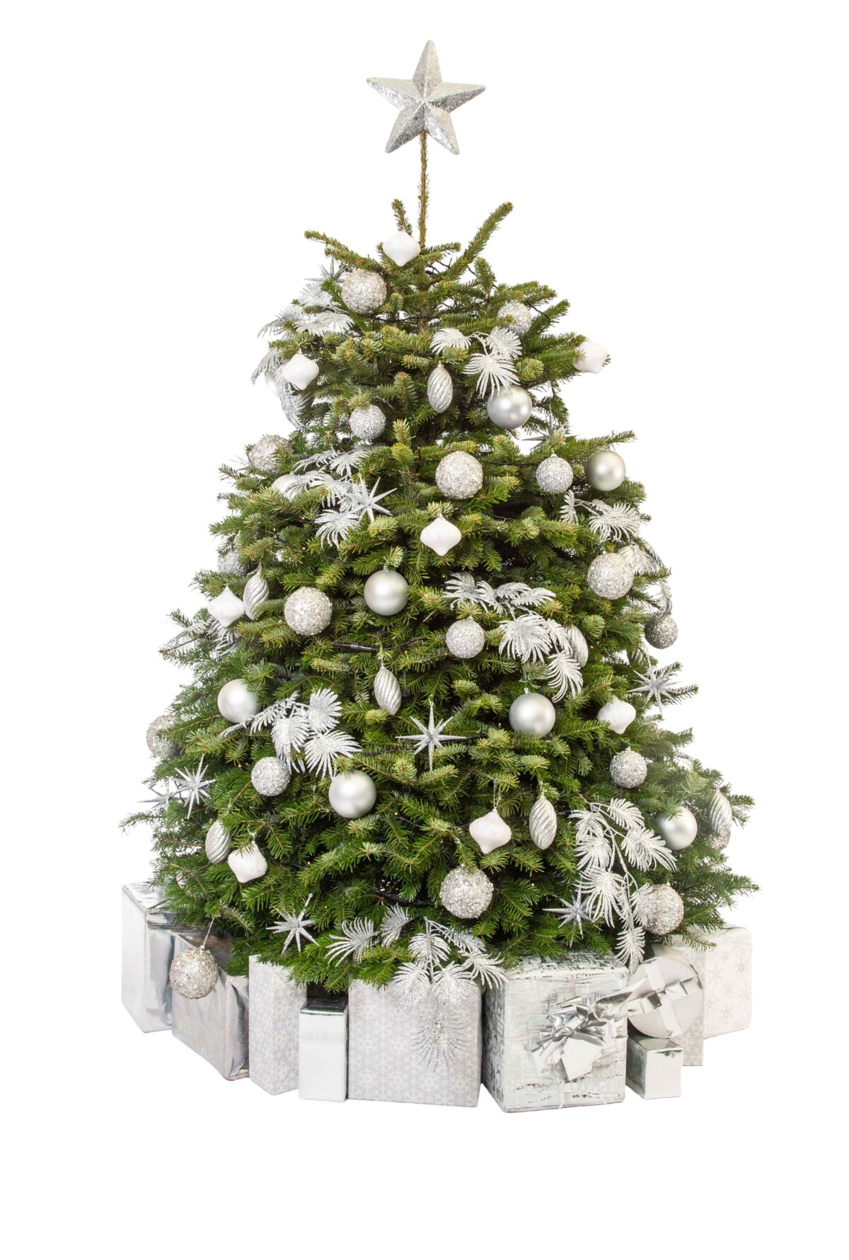 Live Interior Christmas Tree With Parcels - Simply Silver