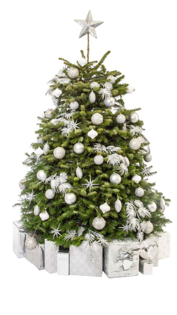 Live Interior Christmas Tree With Parcels - Simply Silver