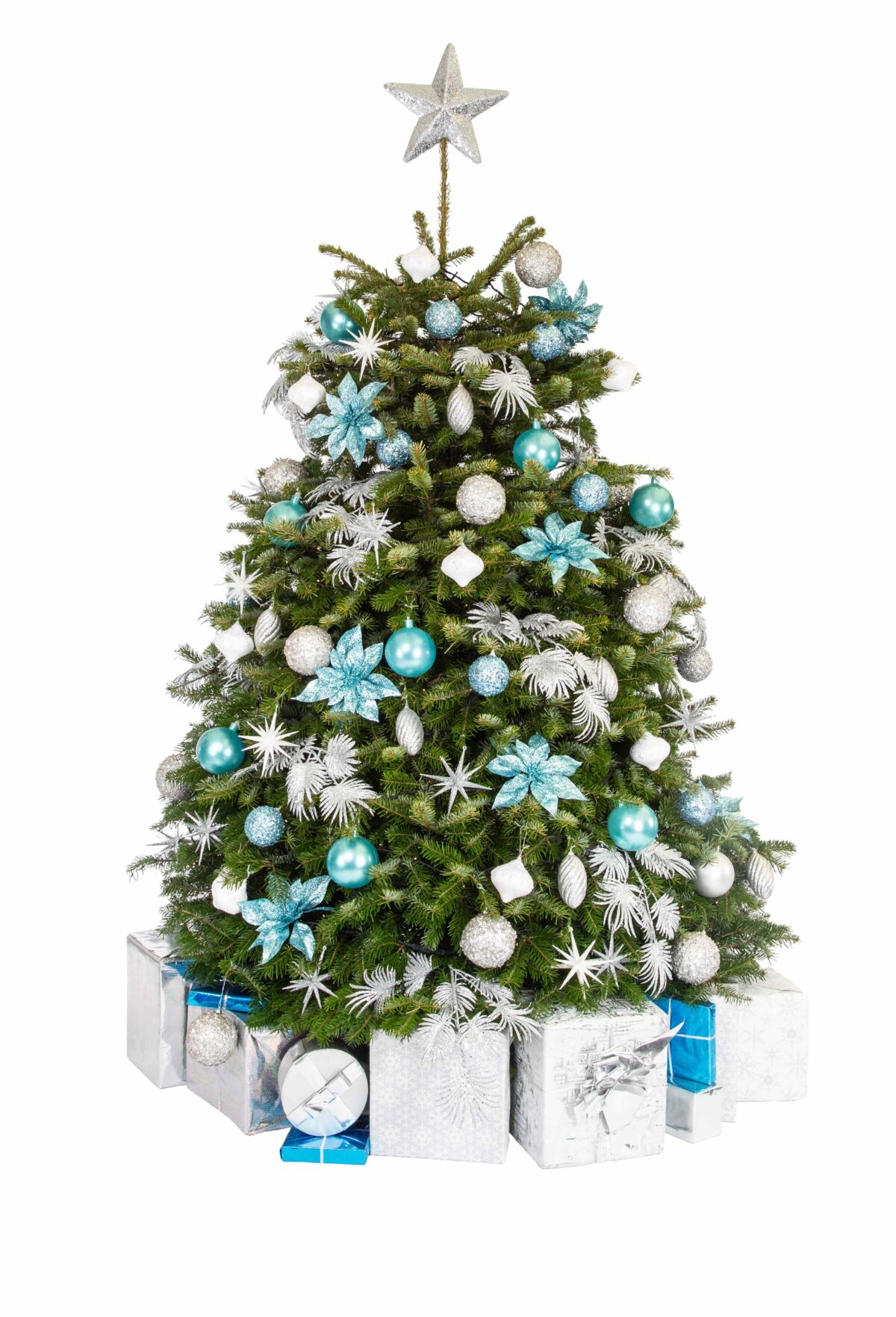 Live Interior Christmas Tree With Parcels - Starry Night