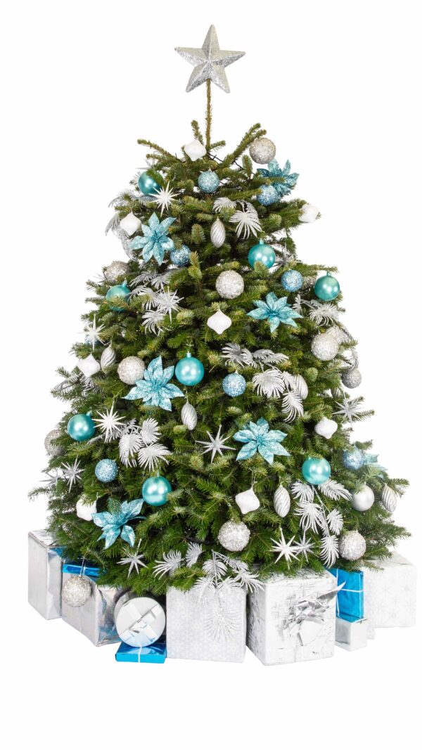 Live Interior Christmas Tree With Parcels - Starry Night