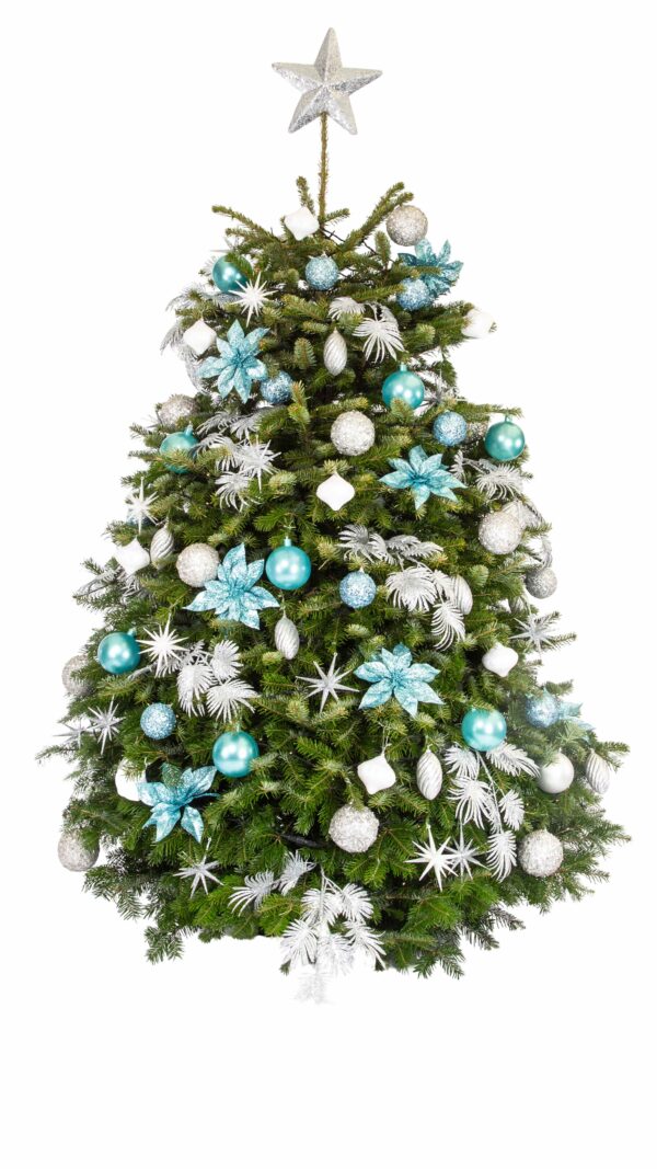 Live Interior Christmas Tree - Starry Night