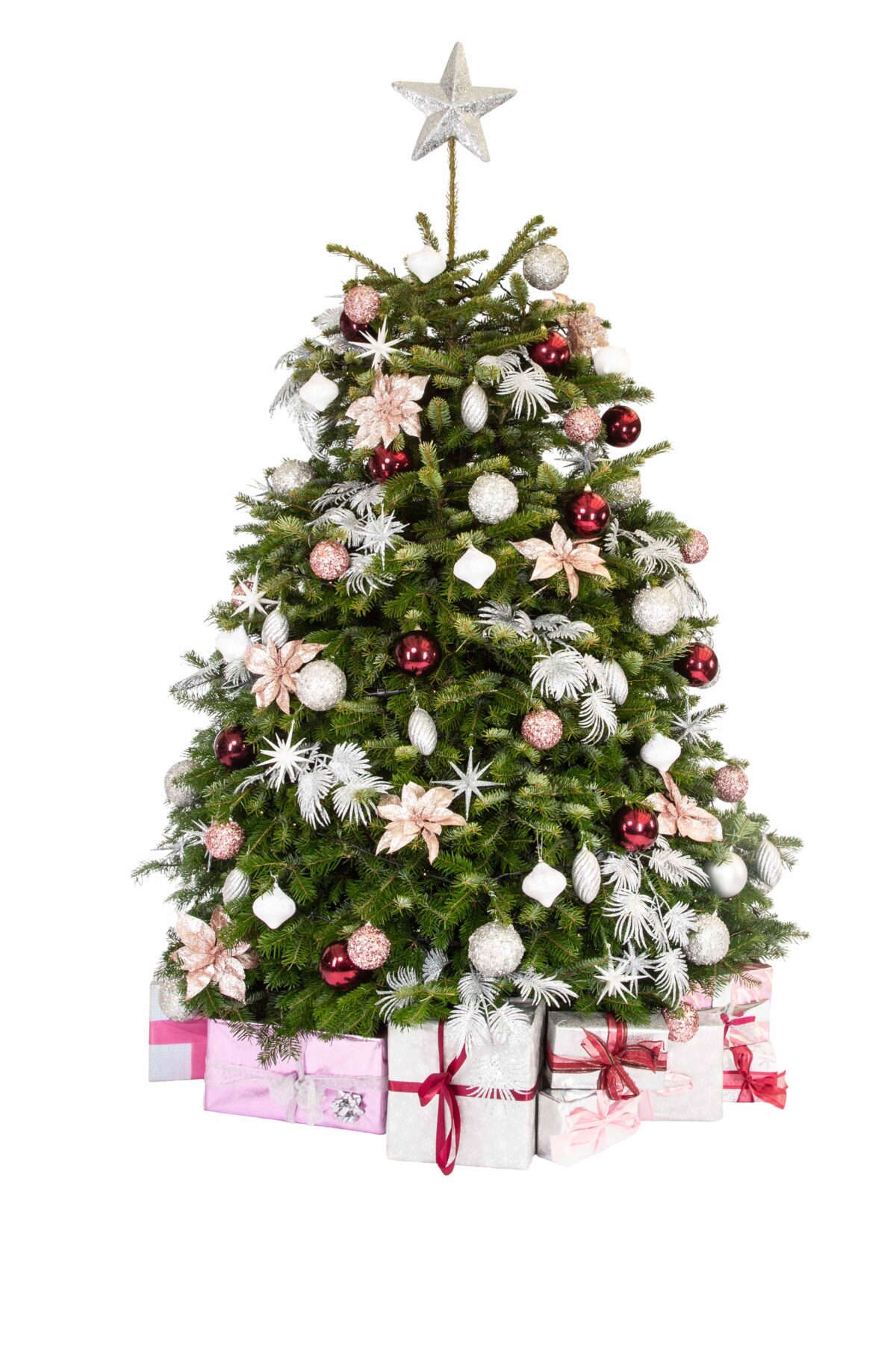 Live Interior Christmas Tree With Parcels - Berry Delight