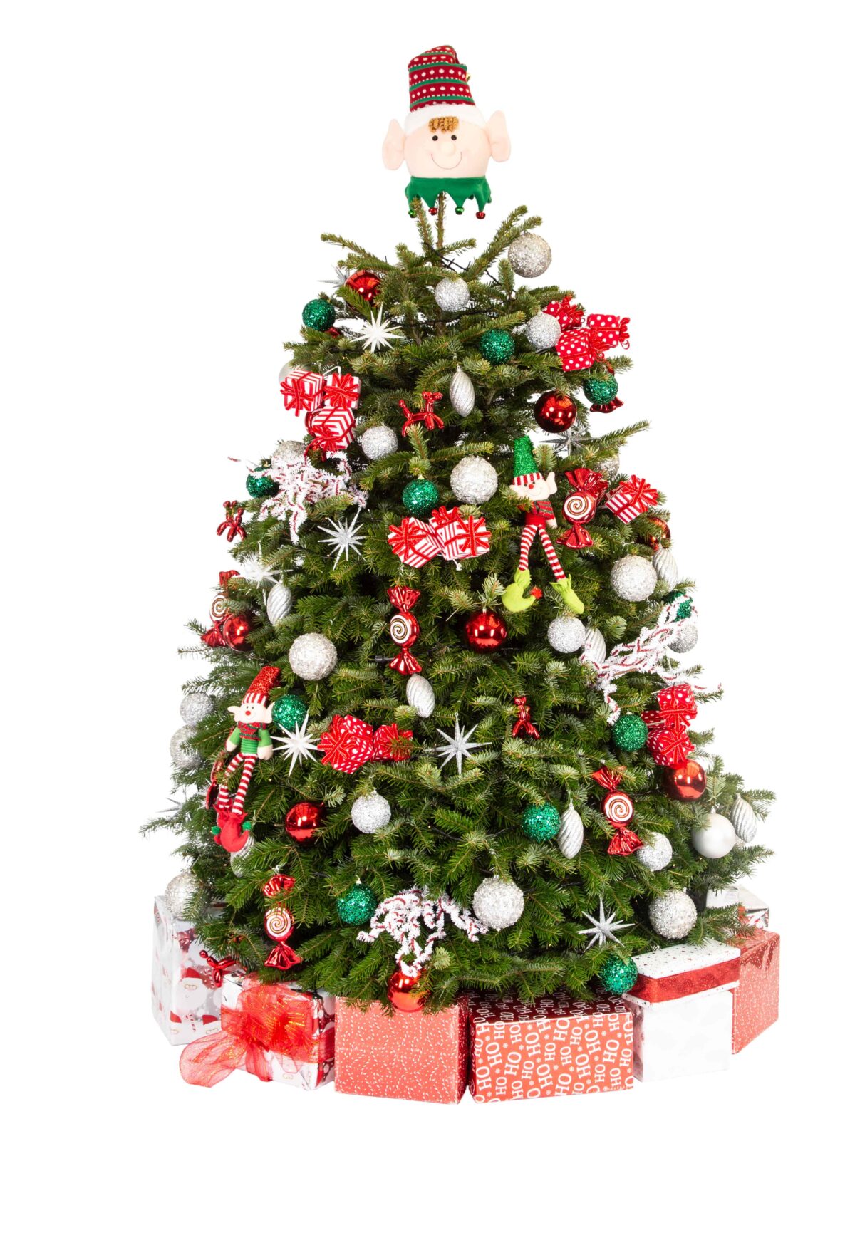 Live Interior Christmas Tree With Parcels - Jolly Holly