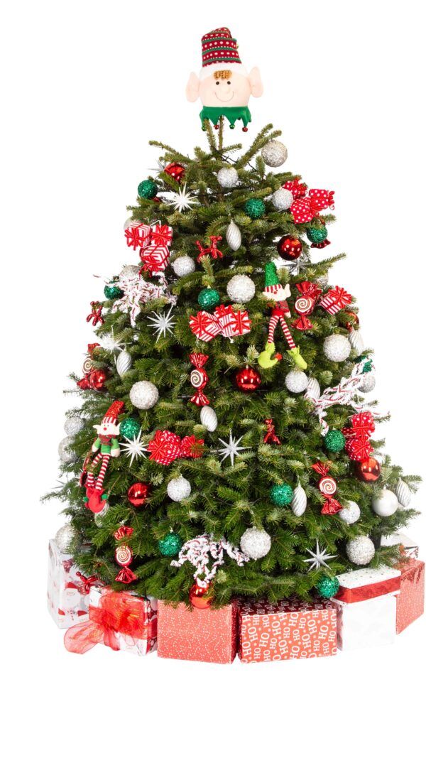 Live Interior Christmas Tree With Parcels - Jolly Holly